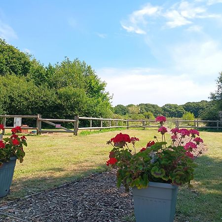 Cosy Cabins At Westfield Farm, Isle Of Wight Yarmouth  Extérieur photo