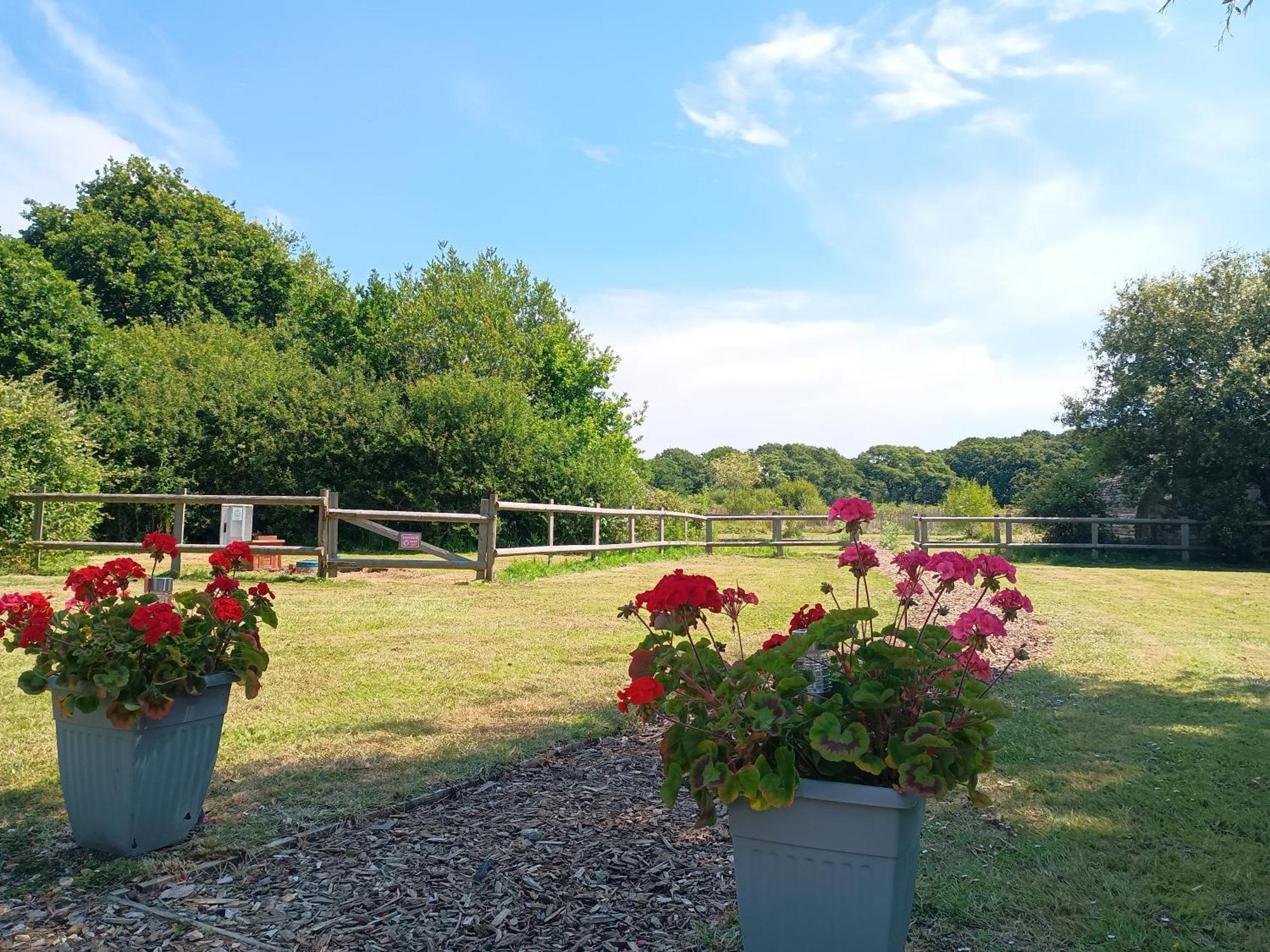 Cosy Cabins At Westfield Farm, Isle Of Wight Yarmouth  Extérieur photo